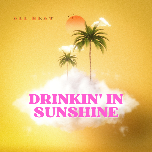 Drinkin' in Sunshine Album Art